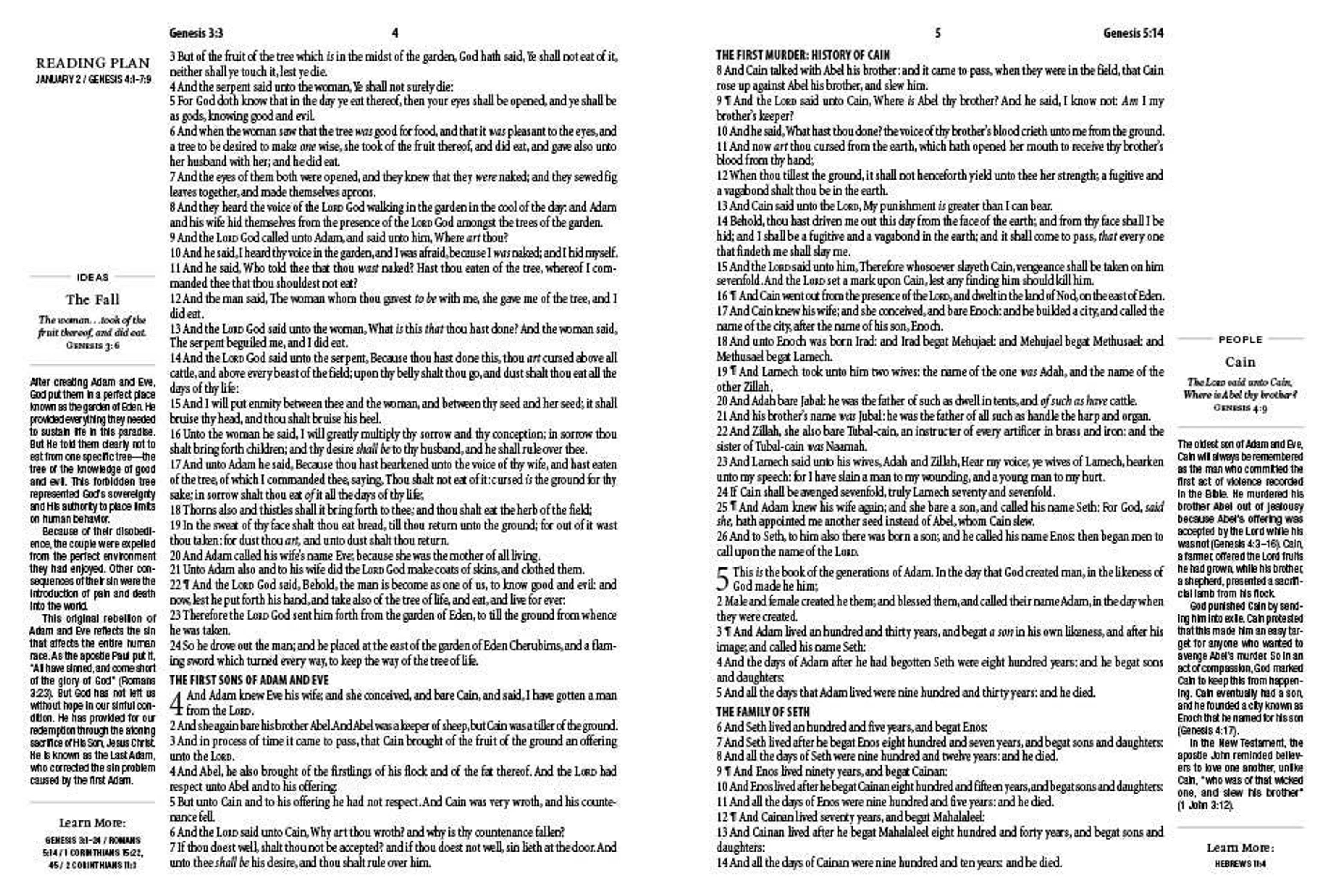 The 1-Minute KJV Study Bible (Lavender Petals)